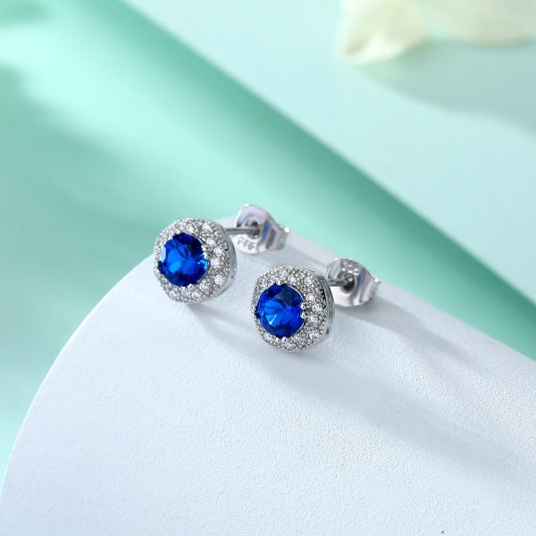 S925 Silver Blue Zircon Flower Earrings – Sparkling Floral-Inspired Jewelry for a Touch of Sophistication - Image 2