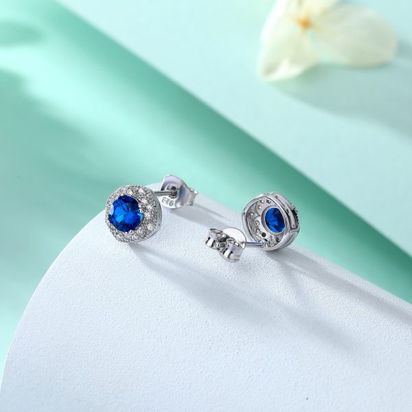 S925 Silver Blue Zircon Flower Earrings – Sparkling Floral-Inspired Jewelry for a Touch of Sophistication - Image 3